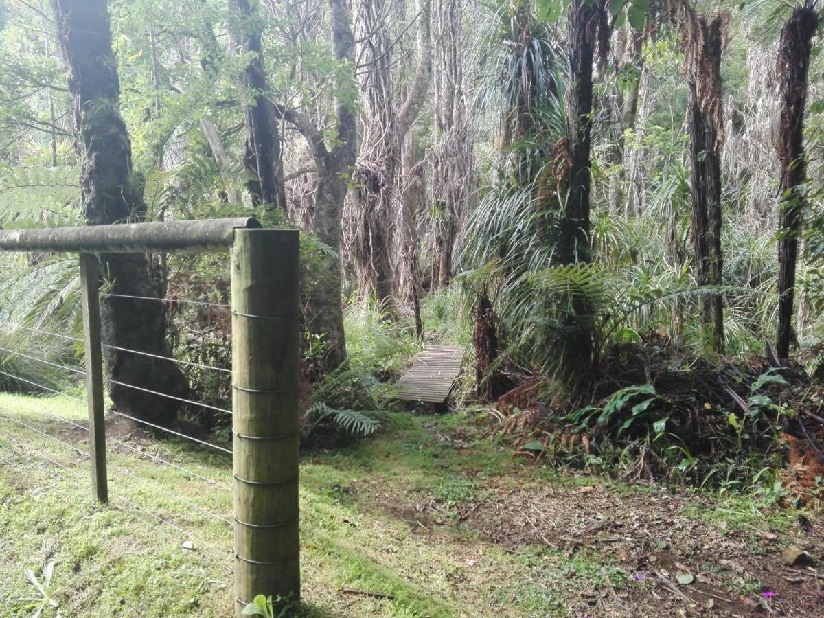 Taranaki Experience Leilighet New Plymouth Eksteriør bilde