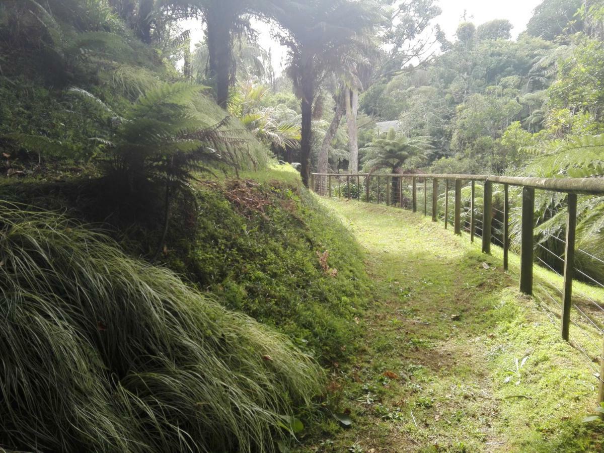 Taranaki Experience Leilighet New Plymouth Eksteriør bilde